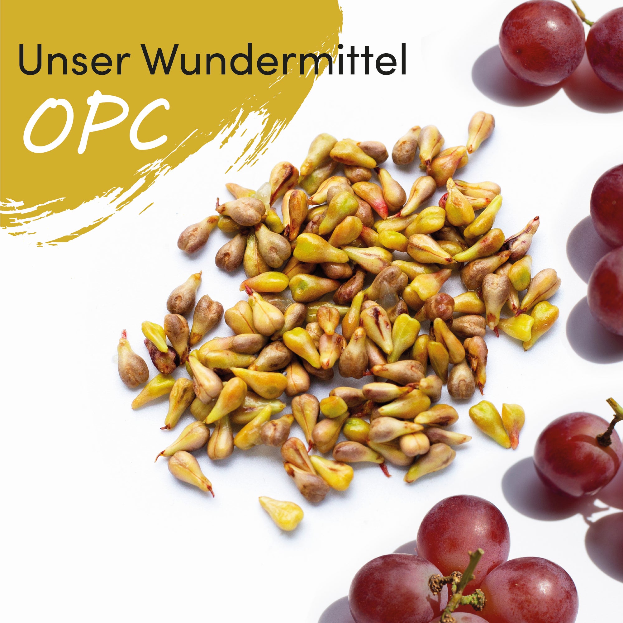 OPC Traubenkernextrakt 180 Kapseln